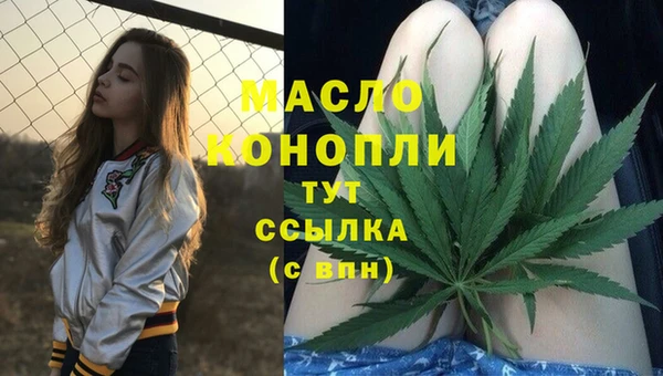 спиды Богданович